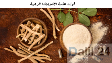 صورة عشبه الأشواجندا مكتوب عليها نص فوائد الأشواجندا الرهيبه