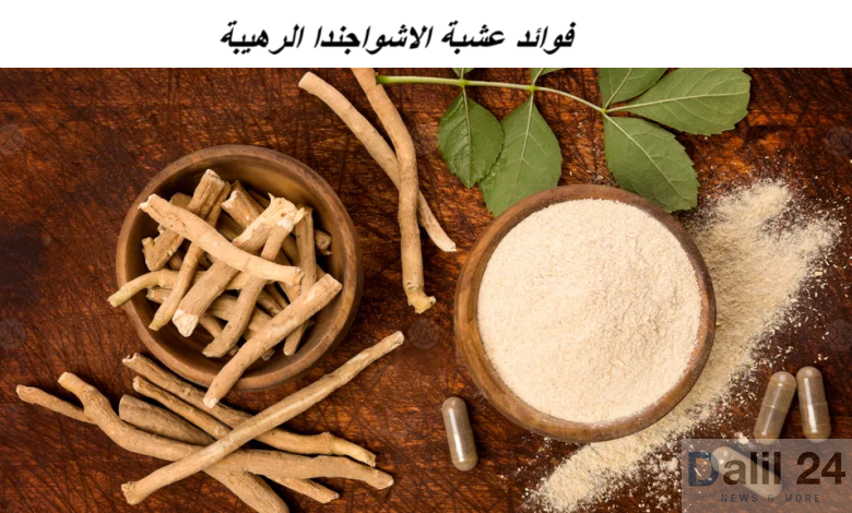 صورة عشبه الأشواجندا مكتوب عليها نص فوائد الأشواجندا الرهيبه